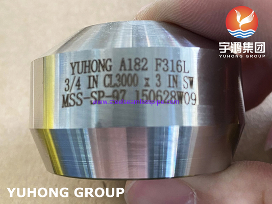 SS Weldolet A182 F316 / F316L Outlet สแตนเลส