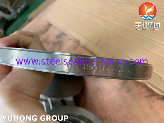 B16.48 ASTM A182 F316L สแตนเลสตาข่ายตาข่ายตาบอด