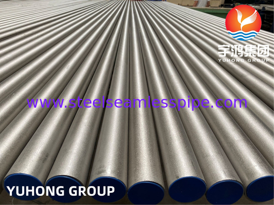 ผสมเหล็กไนเคิลท่อหม้อ ASTM B407 สายเหล็ก 800 800H 800HT สําหรับ Tube bundle Application