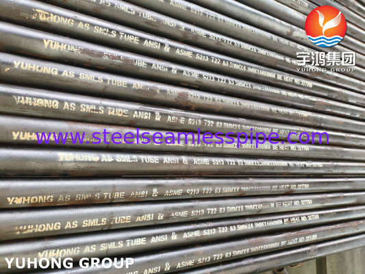 ท่อเหล็กสแตนเลส ASTM A213 T22 ท่อเครื่องปั่นที่ไม่มีรอยต่อสําหรับเครื่องทําความร้อนและเครื่องแลกเปลี่ยนความร้อน