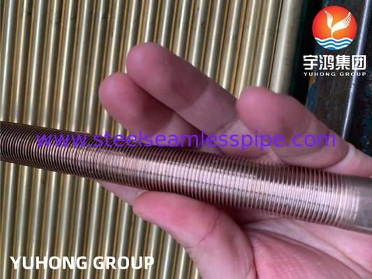 ASTM B111 C70600-O61 ทองแดง นิเคิล เหล็กเดียว ท่อปีกต่ํา
