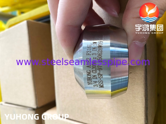 SS Weldolet A182 F316 / F316L Outlet สแตนเลส