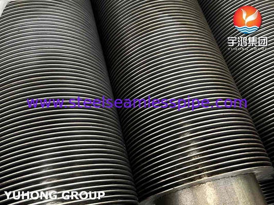 การปั่นความถี่ความถี่สูง ASTM A312 TP316L ท่อปลายเหล็กไร้ขัดสําหรับเตาอบ
