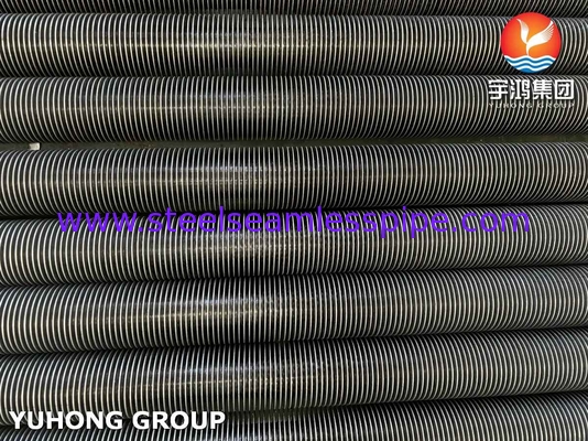 การปั่นความถี่ความถี่สูง ASTM A312 TP316L ท่อปลายเหล็กไร้ขัดสําหรับเตาอบ