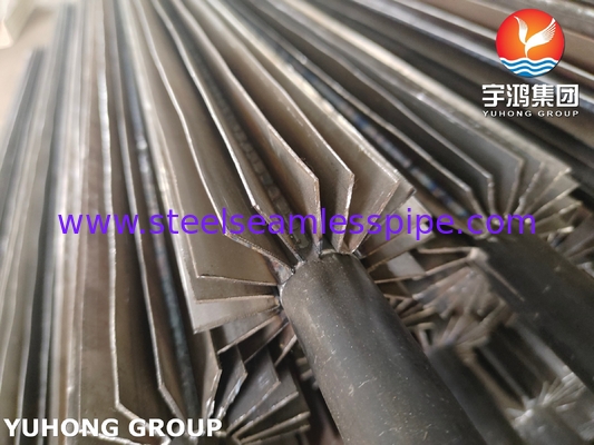 304 ท่อปีก ASTM A249 U-Bend แบบยาวสําหรับอุตสาหกรรมปิโตรเคมี