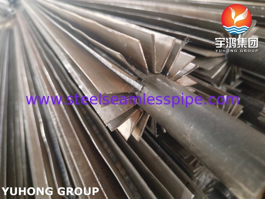 304 ท่อปีก ASTM A249 U-Bend แบบยาวสําหรับอุตสาหกรรมปิโตรเคมี