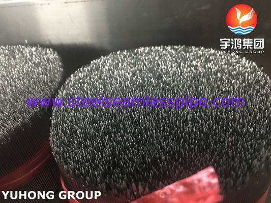 ISO7864 SUS304 หลอดเข็มฉีด ปลายกระดูกเข็ม