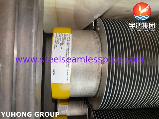 หลอดปัดปัดความถี่สูง TP347H หลอดพื้นฐานและ CS Fins สําหรับเครื่องปั่นและเครื่องทําความร้อน