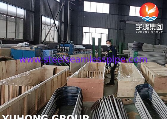 Seamless U Bend Heat Exchanger Tube for Chemical Petrochemical Oil Gas and Power Plants with Minimum Wall Thickness A213 TP317L