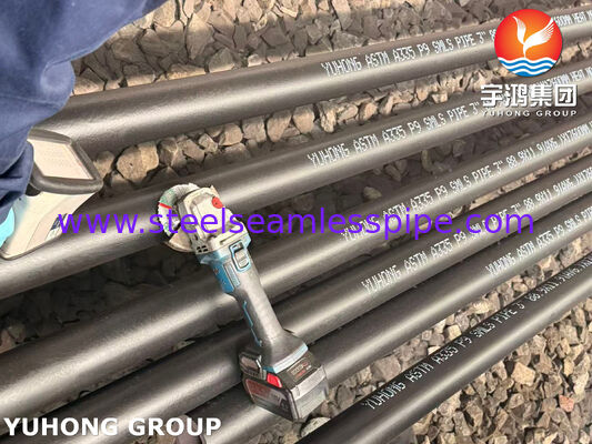 ASTM A335 ASME SA335 P9 ท่อเหล็กสแตนเลสไร้รอย ทนต่อความร้อนสูงสําหรับโรงงานปิโตรเคมีและผู้จําหน่ายไฟฟ้า
