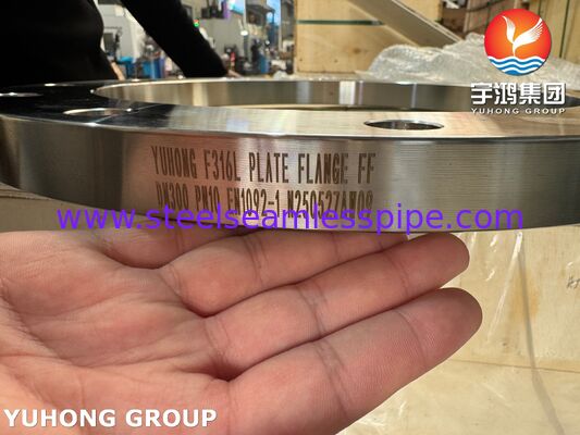 EN1092-1 F316L สแตนเลส หน้าแปลนแบบเรียบ หน้าแปลน PN2.5-PN100, DN10-DN600