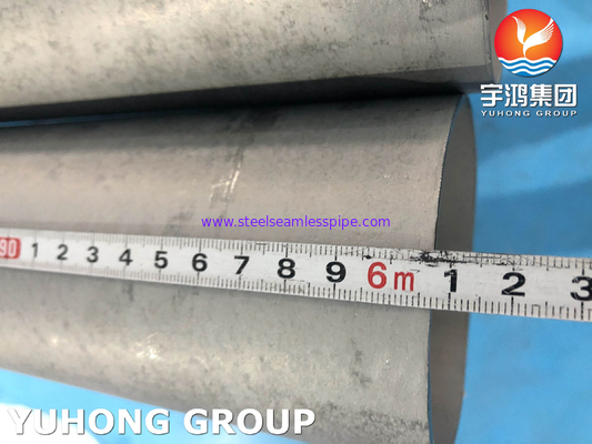 ASTM A789 UNS S32205 ท่อเหล็กดับเพล็กซ์ไร้สแตนเลสไร้สายสําหรับการกําจัดเกลือจากน้ําทะเล